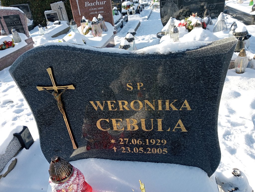 Marian Cebula 1959 Widuchowa - Grobonet - Wyszukiwarka osób pochowanych