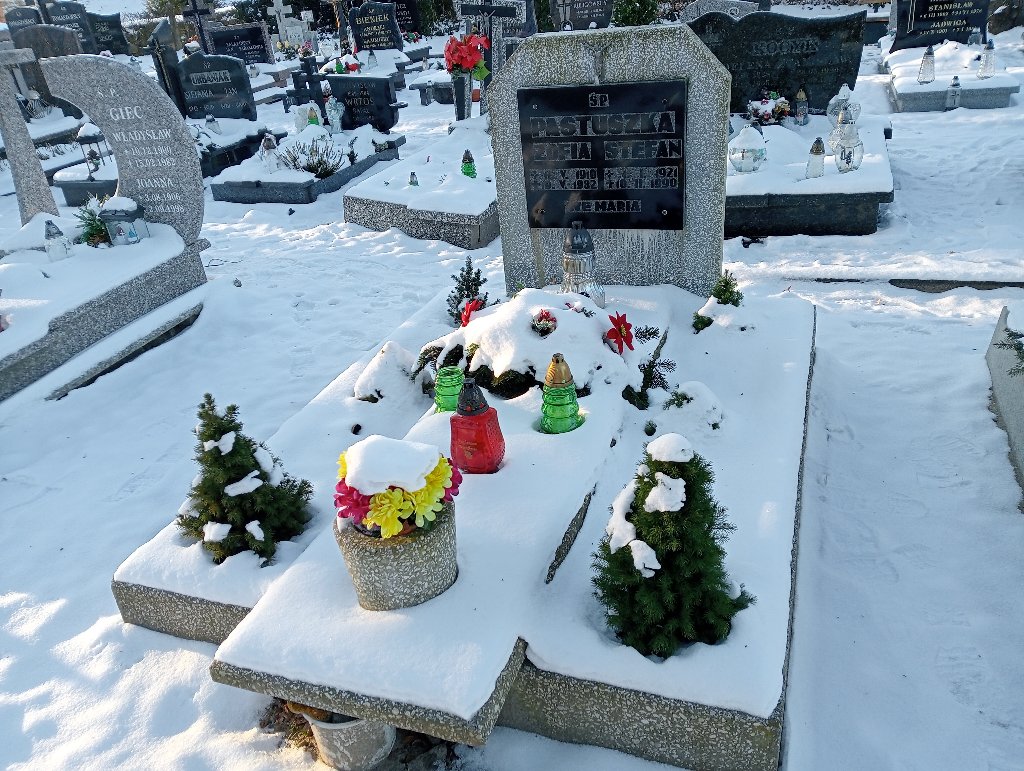 Grób BOGUMIŁA DĄBROWSKA